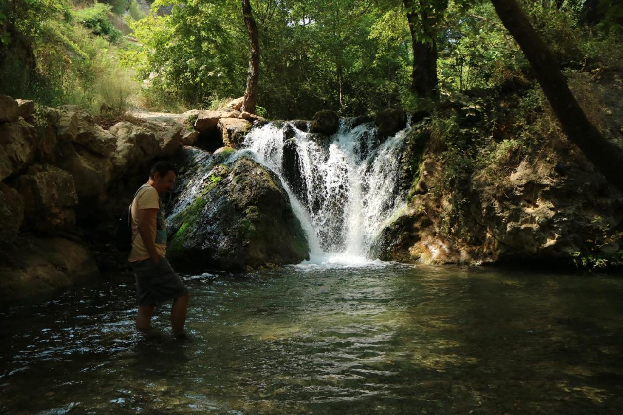 Bilkay Hotel Αλάνια Εξωτερικό φωτογραφία